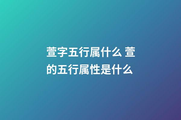 萱字五行属什么 萱的五行属性是什么